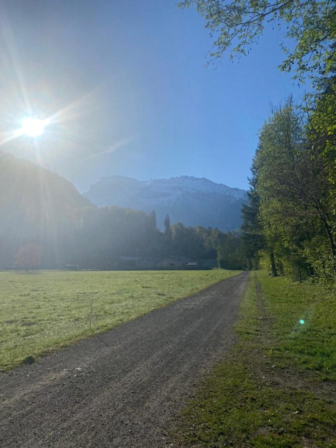 Appartement Rez-De-Chaussee, Cosy T3 4 A 6 Pers Avec Piscines Interieure & Exterieure A Samoens En Haute-Savoie Dış mekan fotoğraf